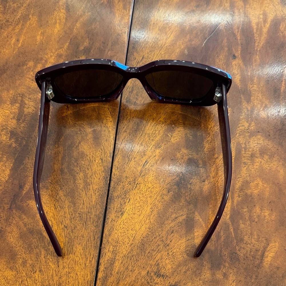 Celine Triomphe Acetate Butterfly Bordeux Women's Sunglasses with Logo - Picture 9 of 16
